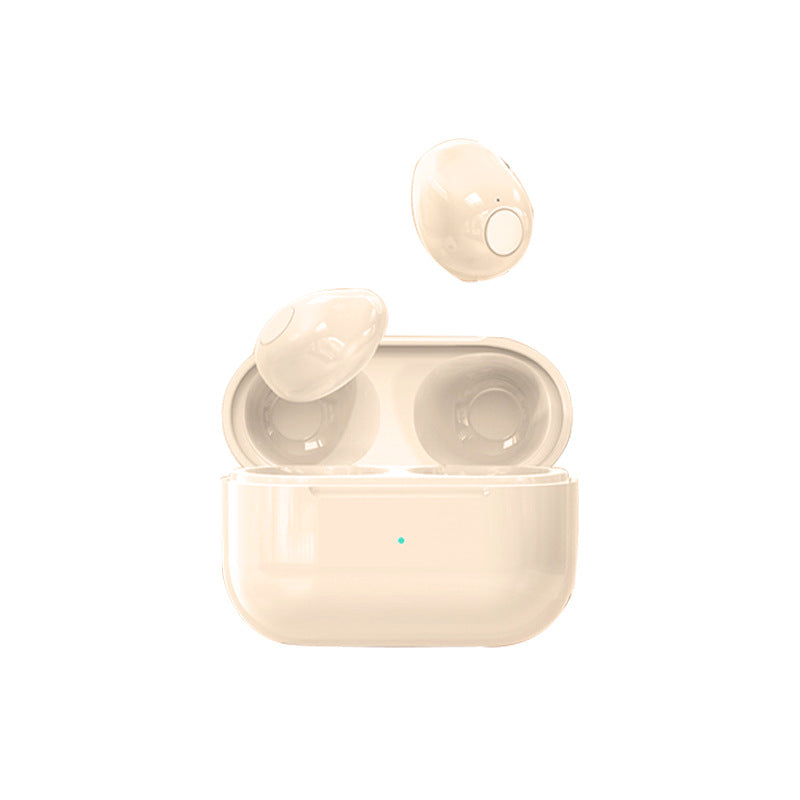 Mini Pro4SS